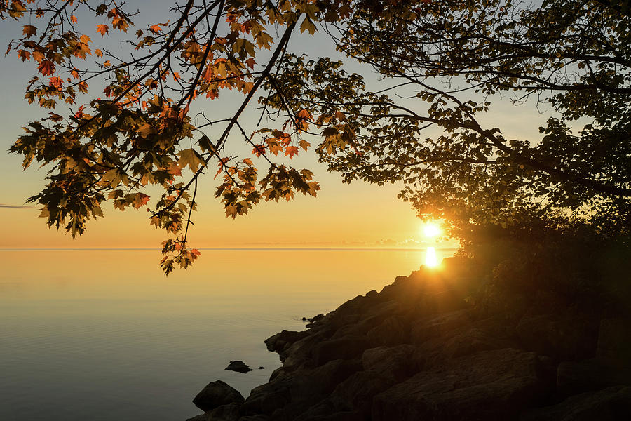 Golden Autumn - Glorious Sunrise on the Shore Photograph by Georgia Mizuleva