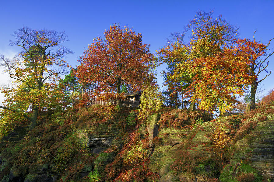 Golden autumn on Neurathen Castle Photograph by Sun Travels