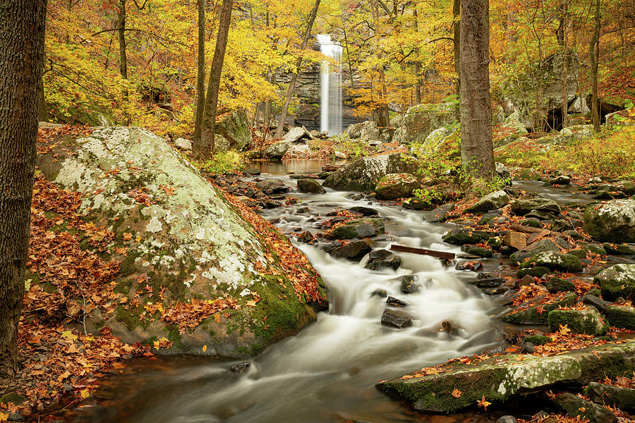 Golden Autumn Splendor At Cedar Falls - Petit Jean State Park Photograph