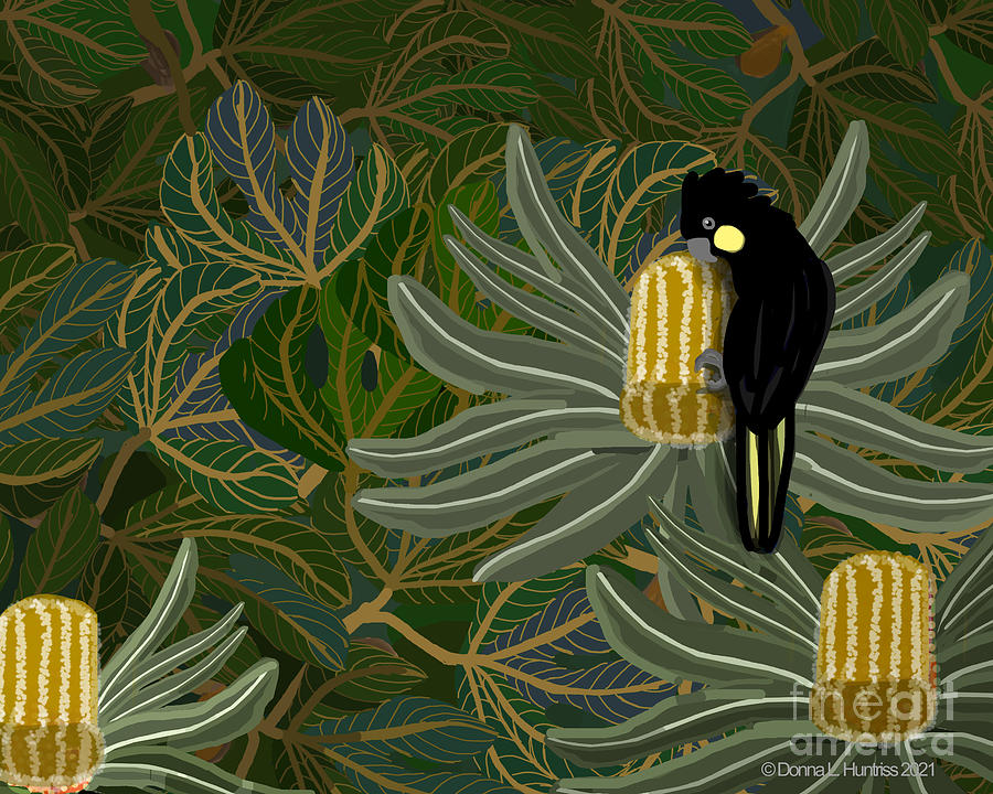 Golden Banksias Black Cockatoo Digital Art by Donna Huntriss