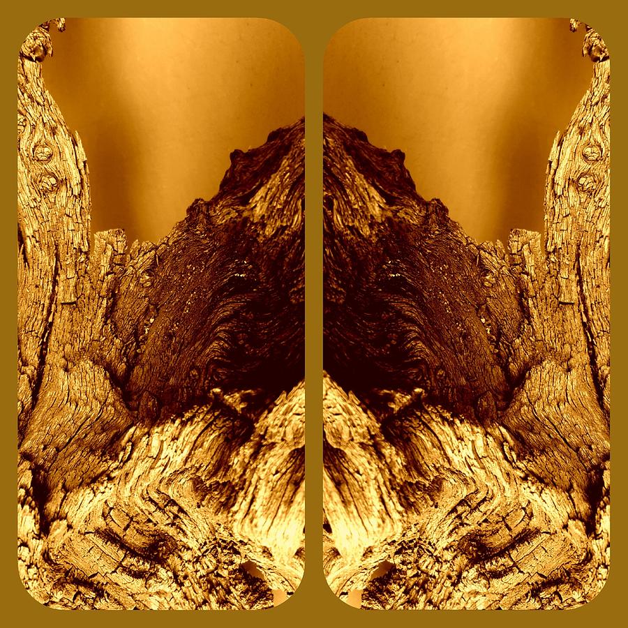 Golden Bark Digital Art by Loraine Yaffe