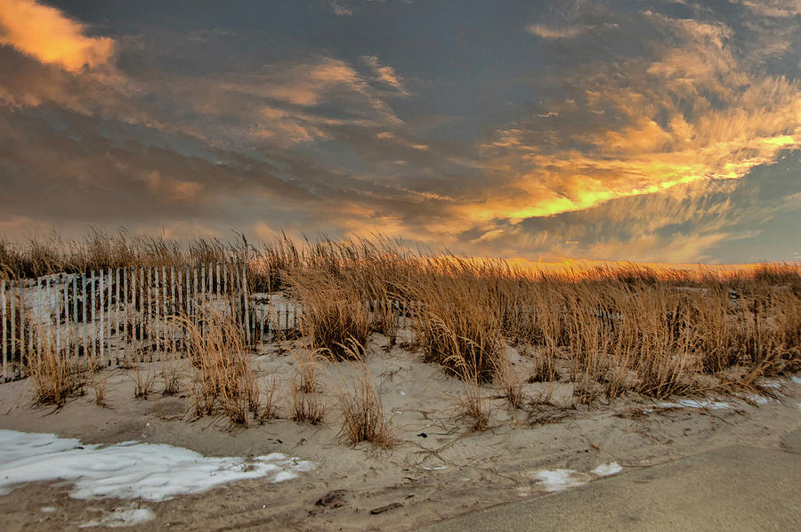 Golden Beach Photograph by Cathy Kovarik