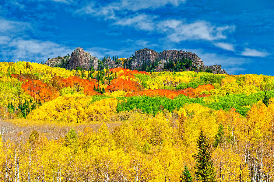 Golden Beauty in Colorado Photograph by John Hoffman