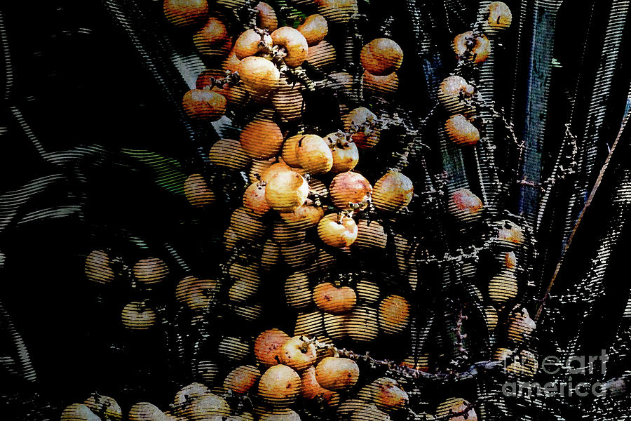Golden Berries Halftone Digital Art by Deb Nakano