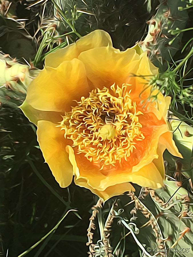 Golden Blooming Cactus Mixed Media by Kimberly Meek