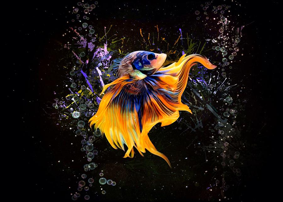 Golden Blue Betta Fish Aquatic Portrait Digital Art