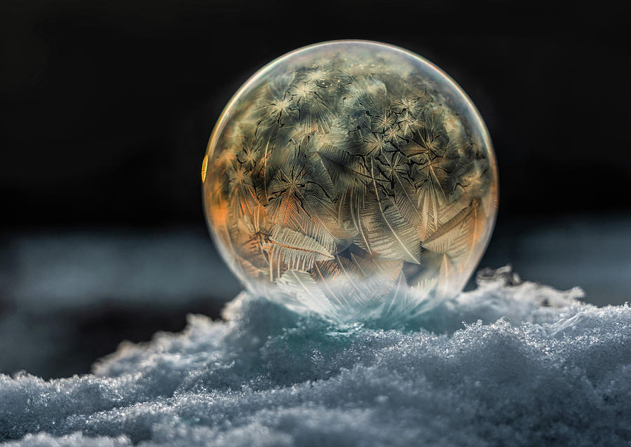 Golden Bubble Photograph by Jaroslaw Blaminsky