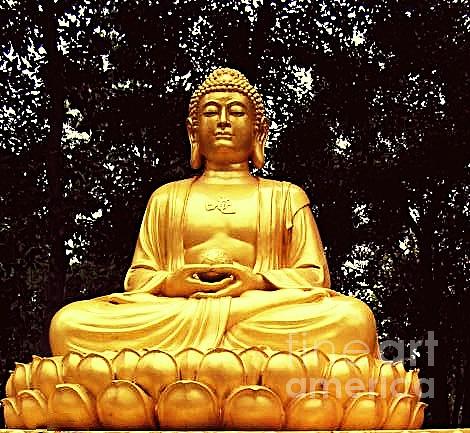 Golden Buddha on Lotus flower. Photograph by Charlene Adler - Fine Art ...