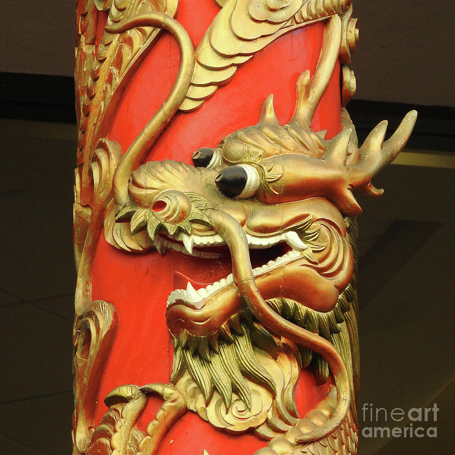 Golden Chinese Dragon Photograph by Scott Cameron