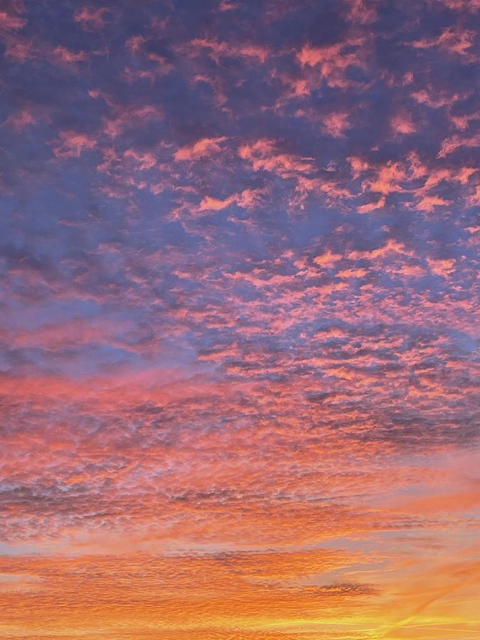 Golden Clouds Photograph by Vanessa Lowry - Fine Art America