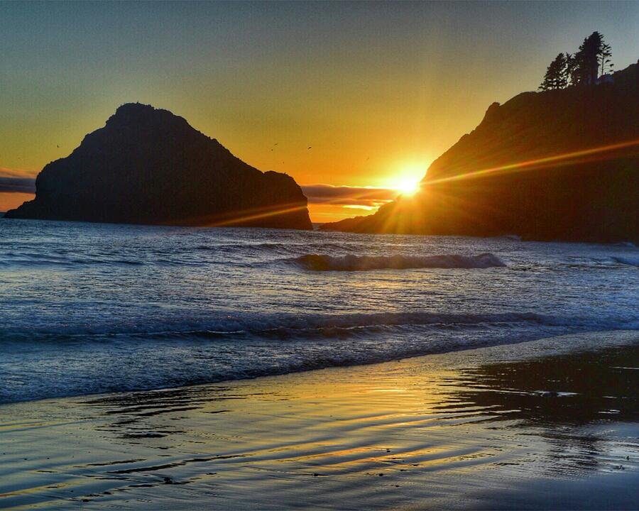 Golden Coastal Sunset Photograph by Bonnie Bruno