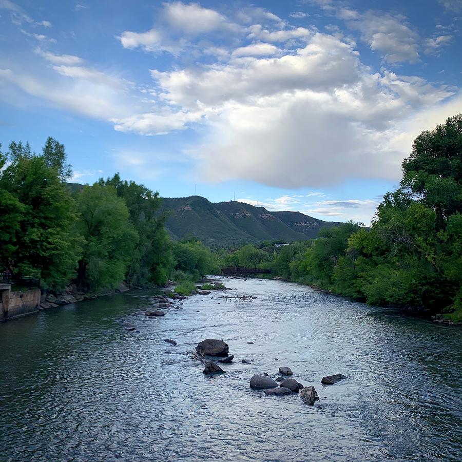 Golden Colorado Photograph by Jeffrey Mark - Fine Art America