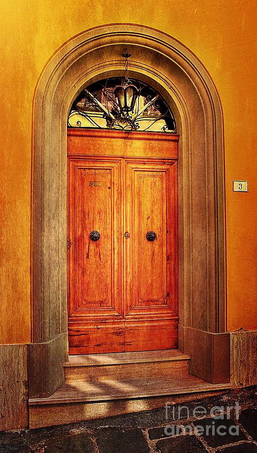 Golden Door 3 - The Magic of Wood Photograph by Ramona Matei