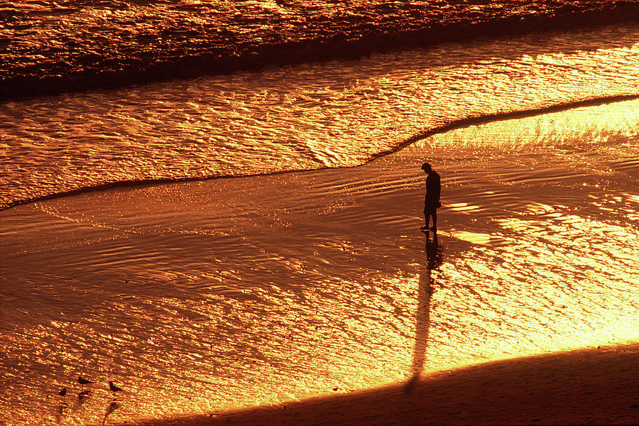 Golden Dreams Photograph by Engle Meredith Golden Dreams Photograph by Engle Meredith