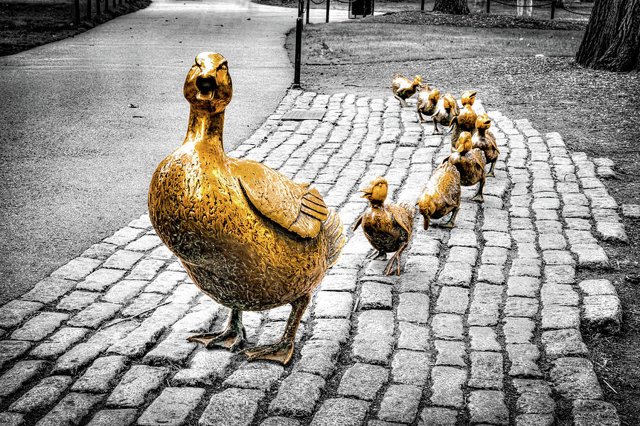 Golden Ducklings Of Boston Public Garden - Selective Color Edition Photograph by Gregory Ballos