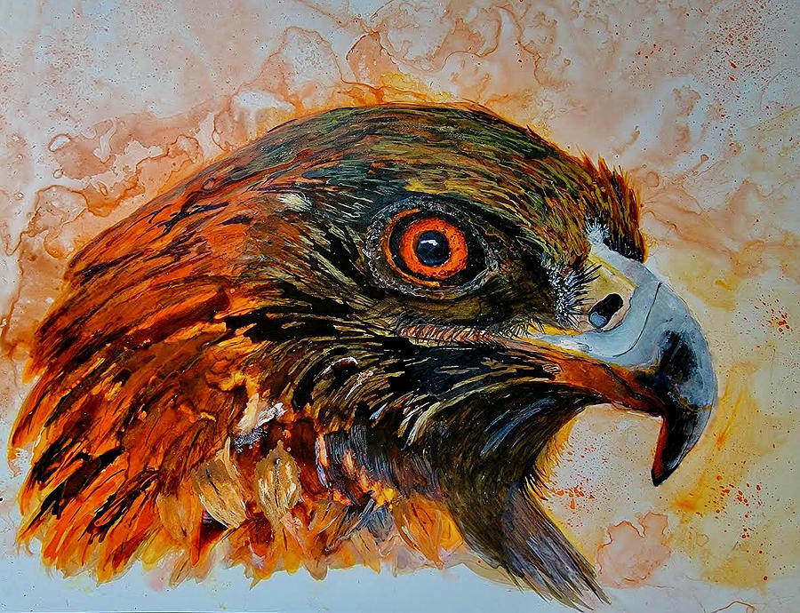 Golden Eagle Painting by Amy Beste - Fine Art America