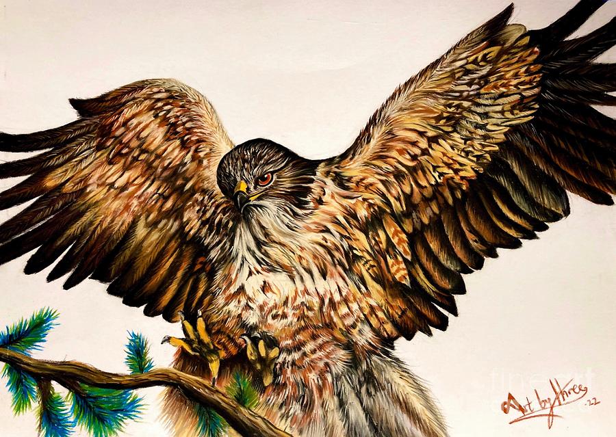 Nature Drawing - Golden Eagle by Art By Three Sarah Rebekah Rachel White