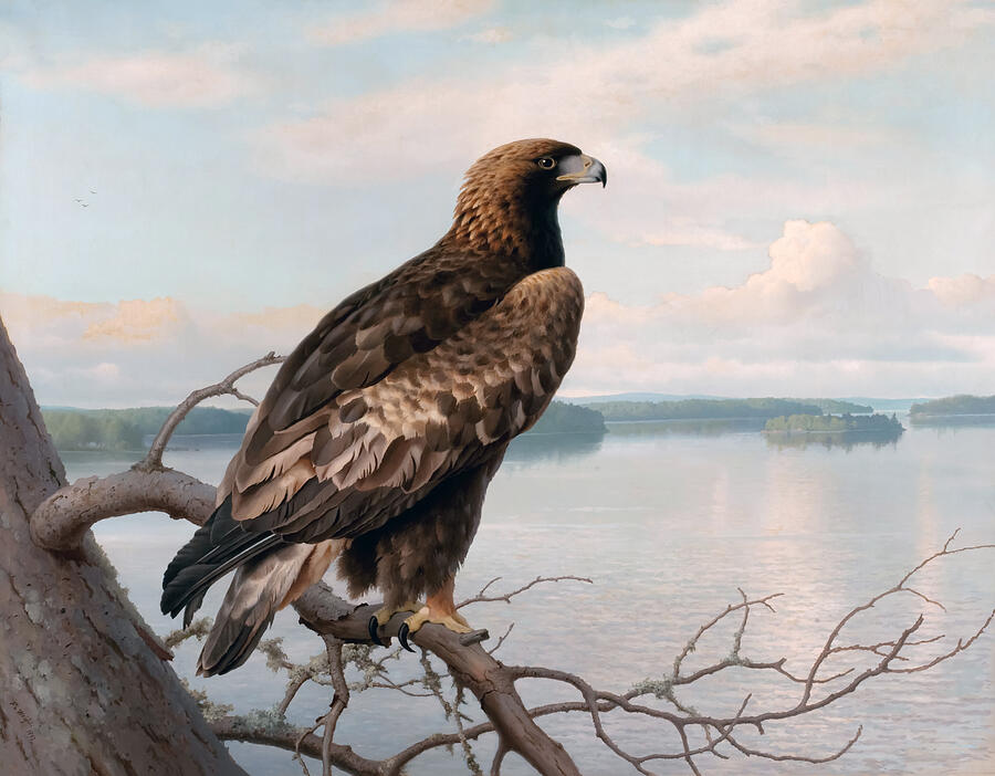 Golden Eagle By A Lake Painting