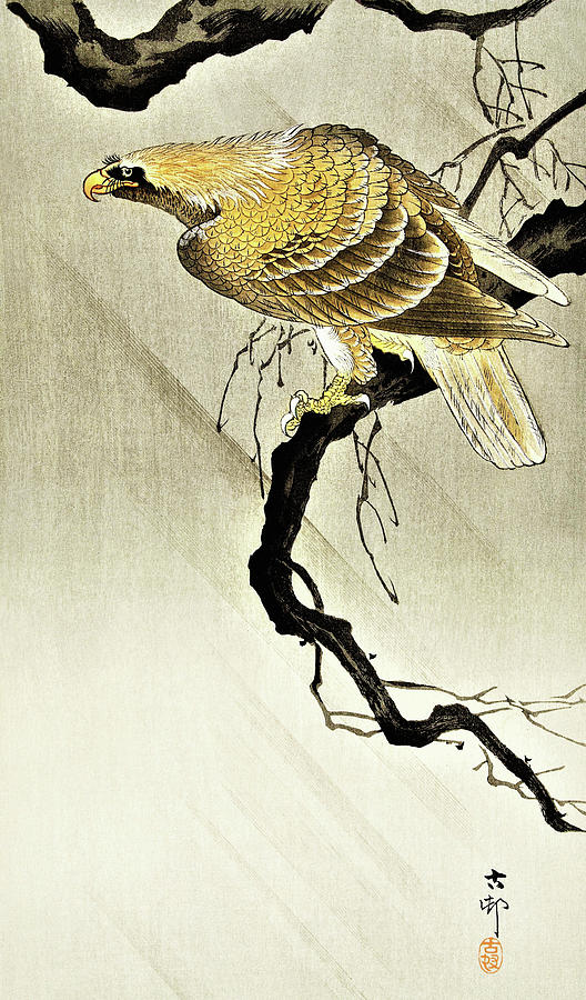 Golden Eagle - Digital Remastered Edition Painting by Ohara Koson ...