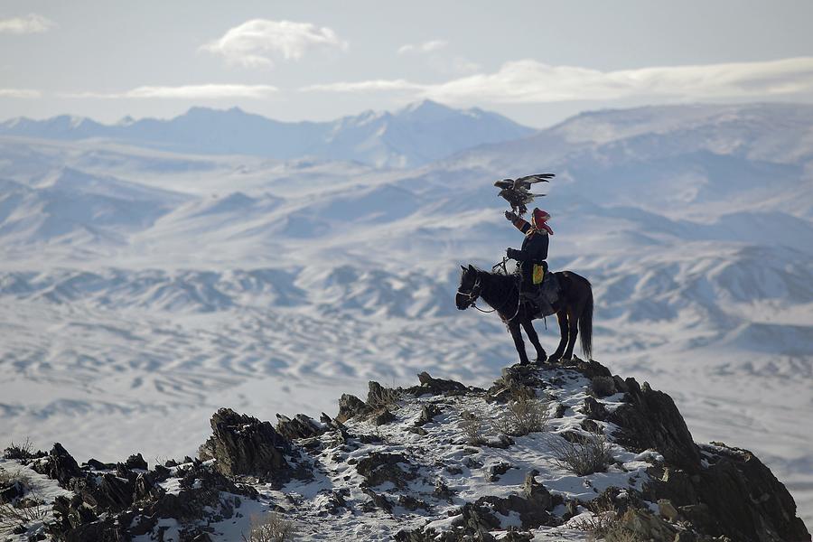 Golden eagle hunter on mountain peak Photograph by Timothy Allen