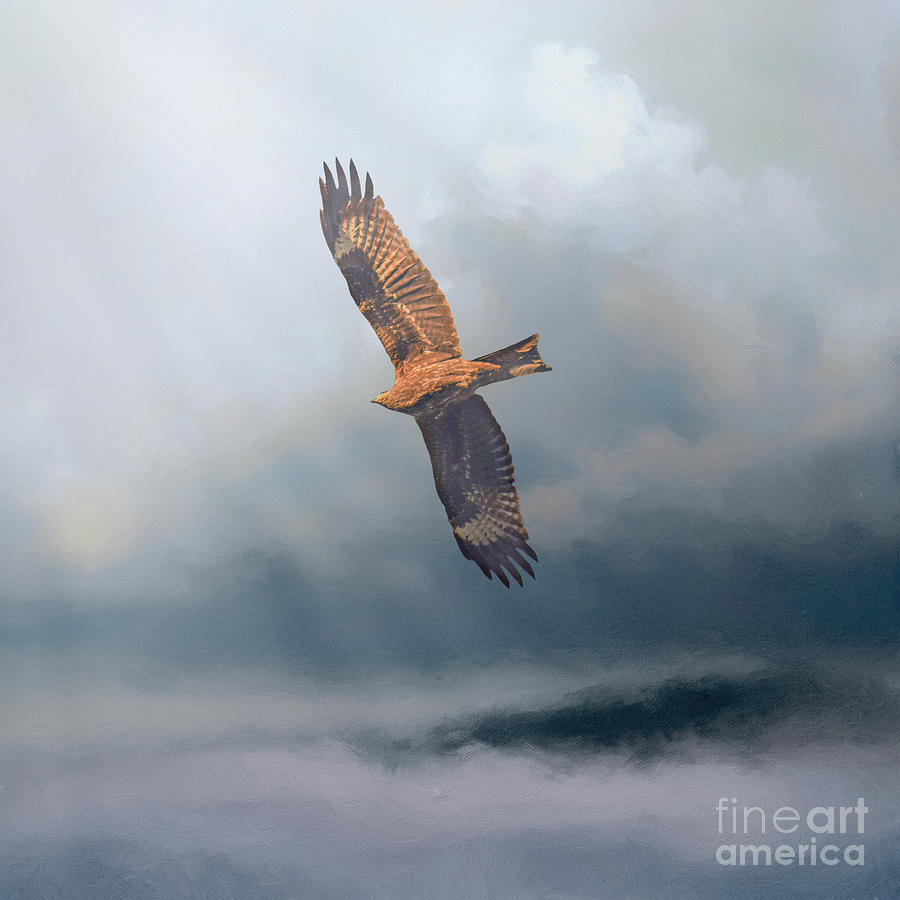 Eagle Mixed Media - Golden Eagle in Flight by Elisabeth Lucas