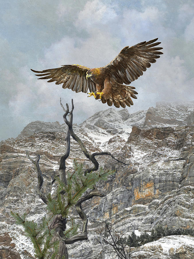 Golden Eagle Landing Mixed Media by M Spadecaller