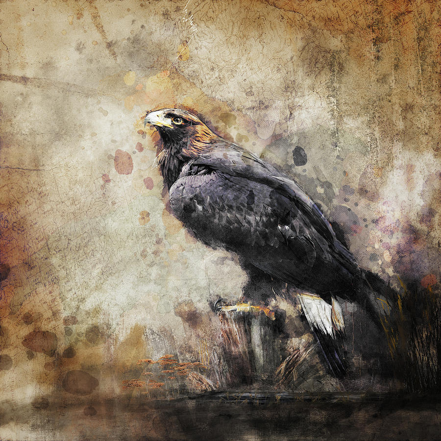 Golden Eagle Digital Art by Merrilee Soberg