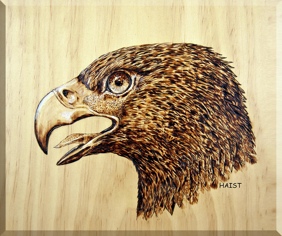 Golden Eagle Pyrography by R Murrey Haist