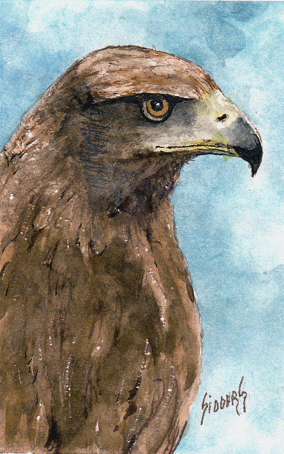 Golden Eagle Painting by Sam Sidders