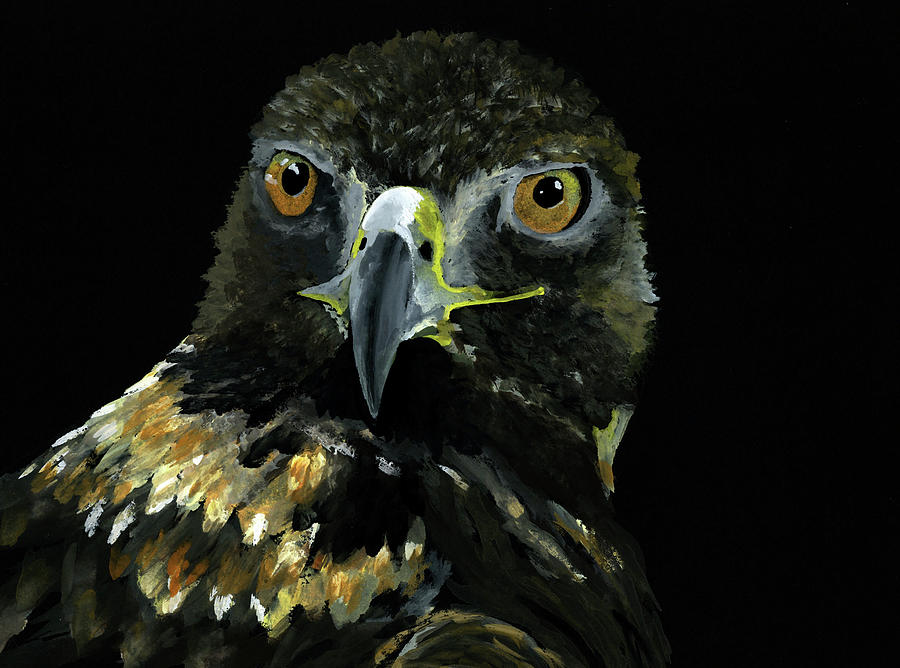 Golden Eagle Painting by Sulazen 's