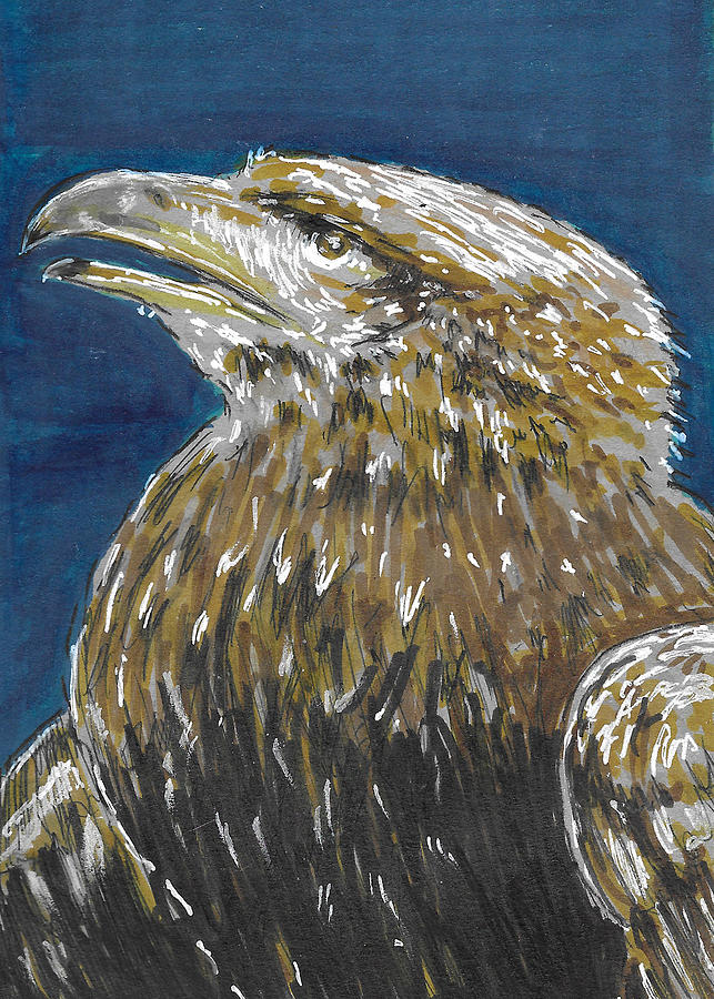 Golden Eagle Painting by Thomas Hamm