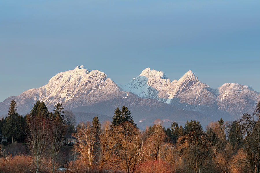 Golden Ears from Derby Reach Regional Park Photograph by Michael Russell