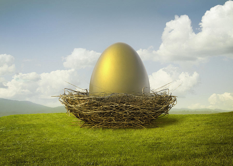 Golden egg in birds nest Photograph by Chris Clor