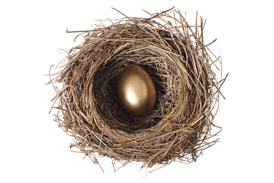 Golden egg in nest Photograph by Daniel Hurst Photography