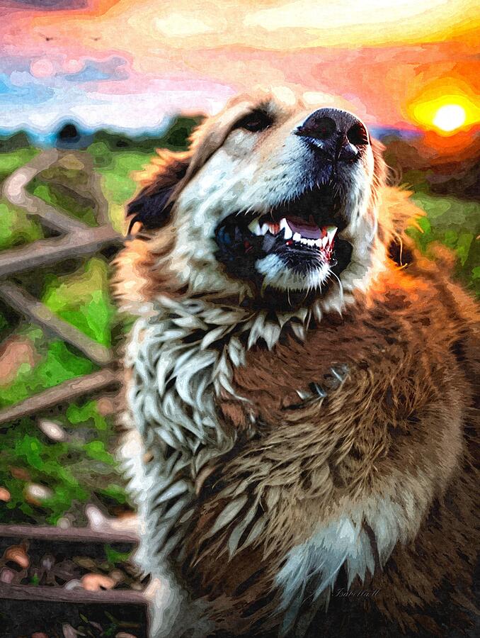 Nature Mixed Media - Golden Emissary aka A Retrievers Serenade at Sunset by Abbie Shores