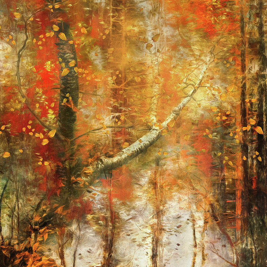 Golden Fall Trees Digital Art by Barbara Mierau-Klein