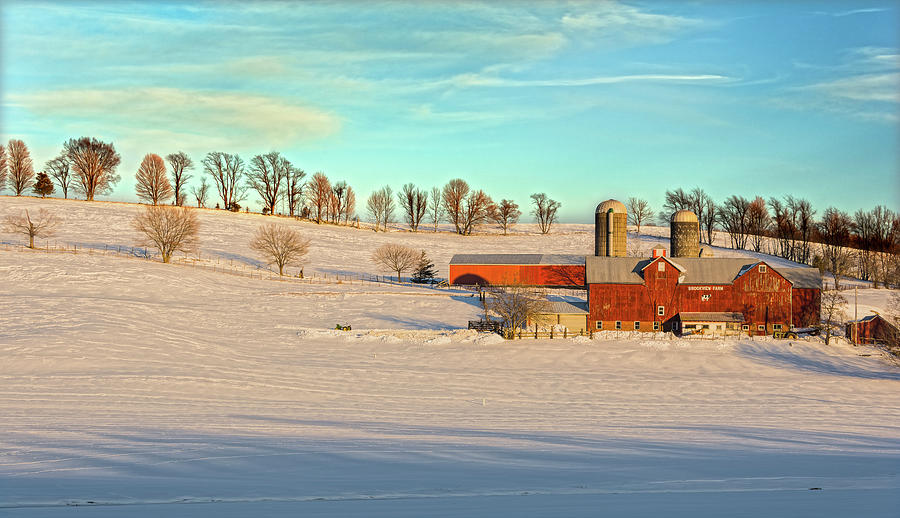 Golden Farmlands In Winter Dress Photograph by Angelo Marcialis