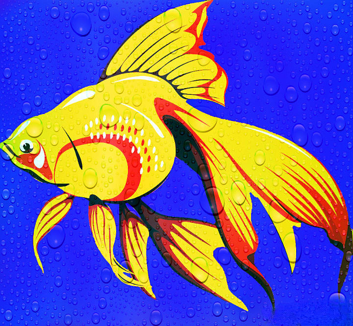 Golden Fish Digital Art