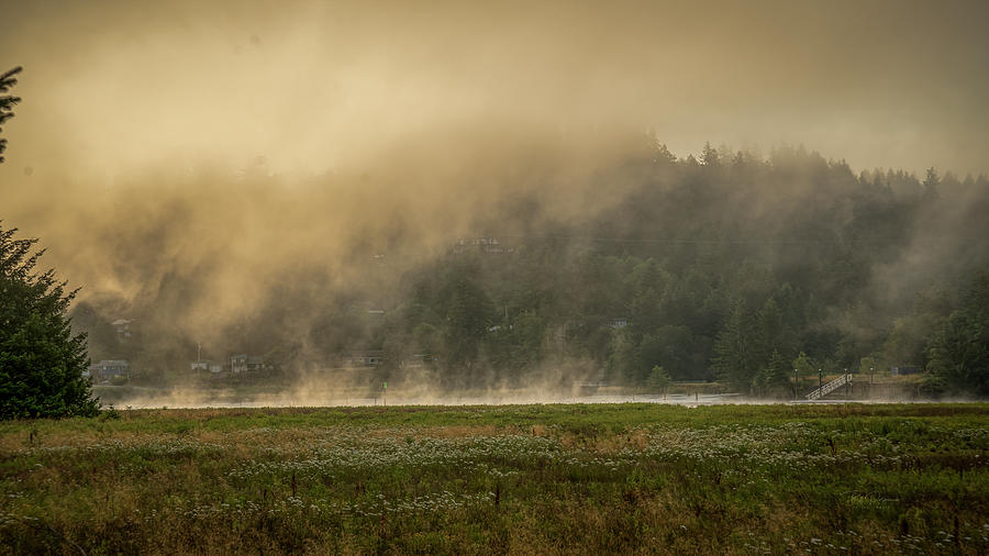Golden Fog Photograph by Bill Posner