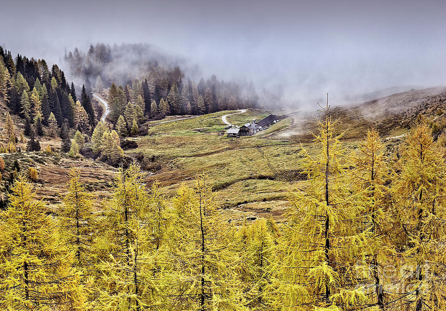 Picturesque Golden foggy Autunm in Dolomites Photograph by Tatiana Bogracheva