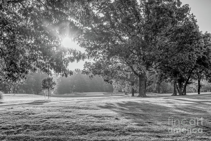 Golden Fremont Hills Golf Sunrise Grayscale Photograph by Jennifer White