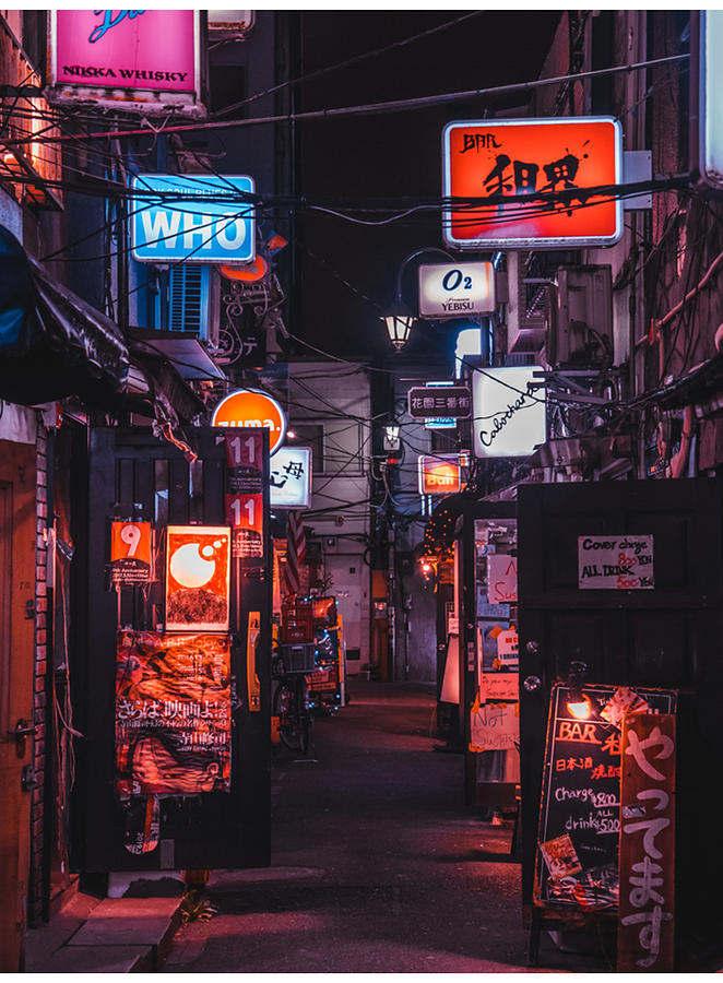 Golden Gai Tokyo Bar Crawl Photograph by Hermine Geyer | Fine Art America