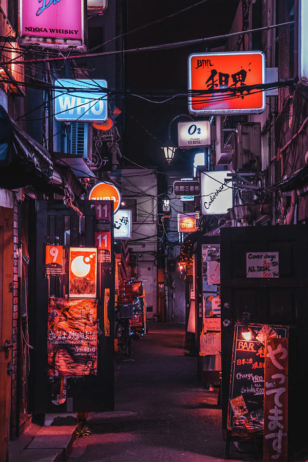 Golden Gai Tokyo Bar Crawl Photograph by Thang Chu Huy - Fine Art America