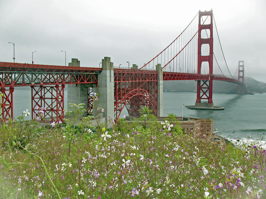 Golden Gate Bridge and Summer Flowers Photograph by Connie Fox