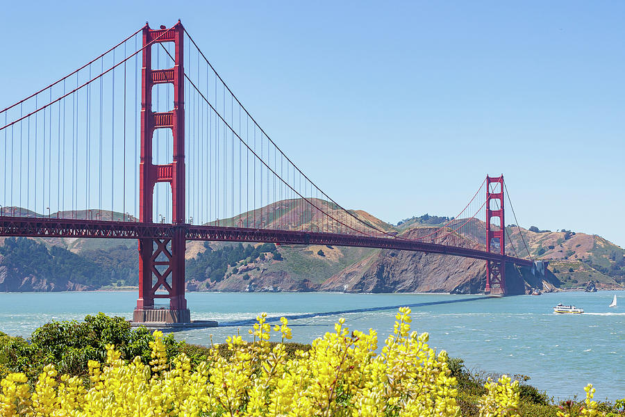 Golden Gate Bridge Photograph by David Fountain
