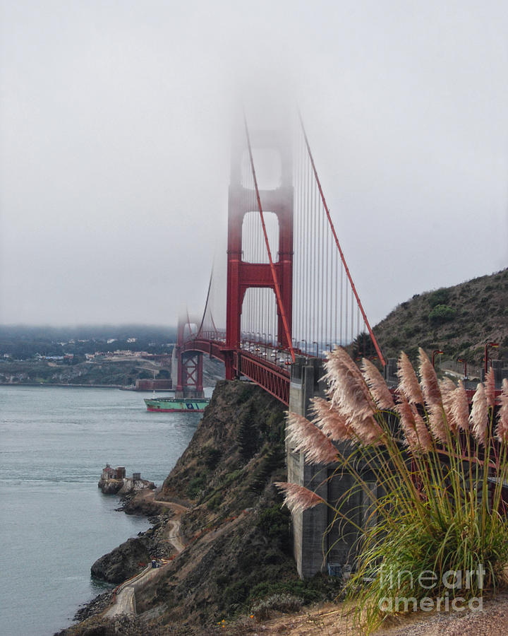Golden Gate Bridge in Fog Photograph by Catherine Sherman