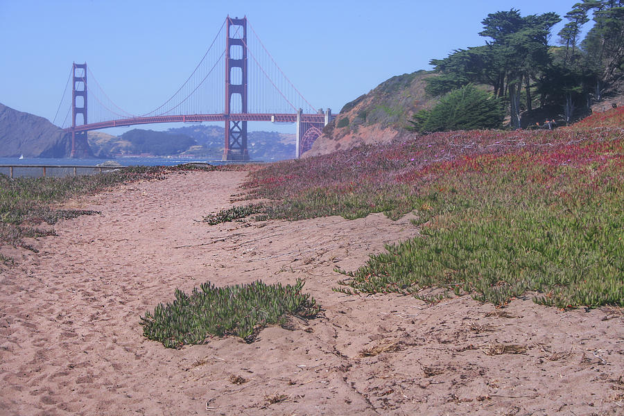 Golden Gate Bridge Photograph by Sally Bauer