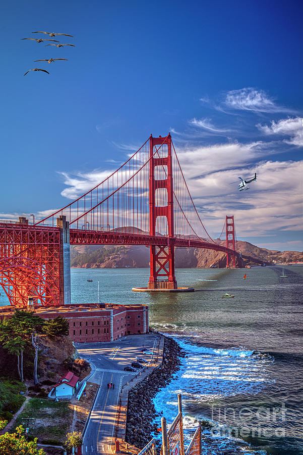 Golden Gate Bridge Vertical Photograph by David Zanzinger