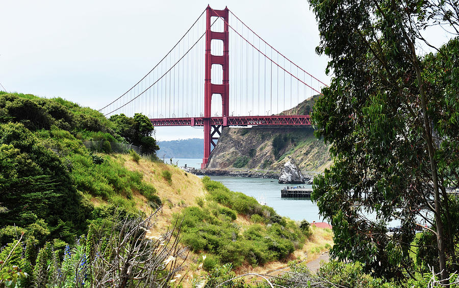 Golden Gate Bridge Photograph - Golden Gate by D Patrick Miller