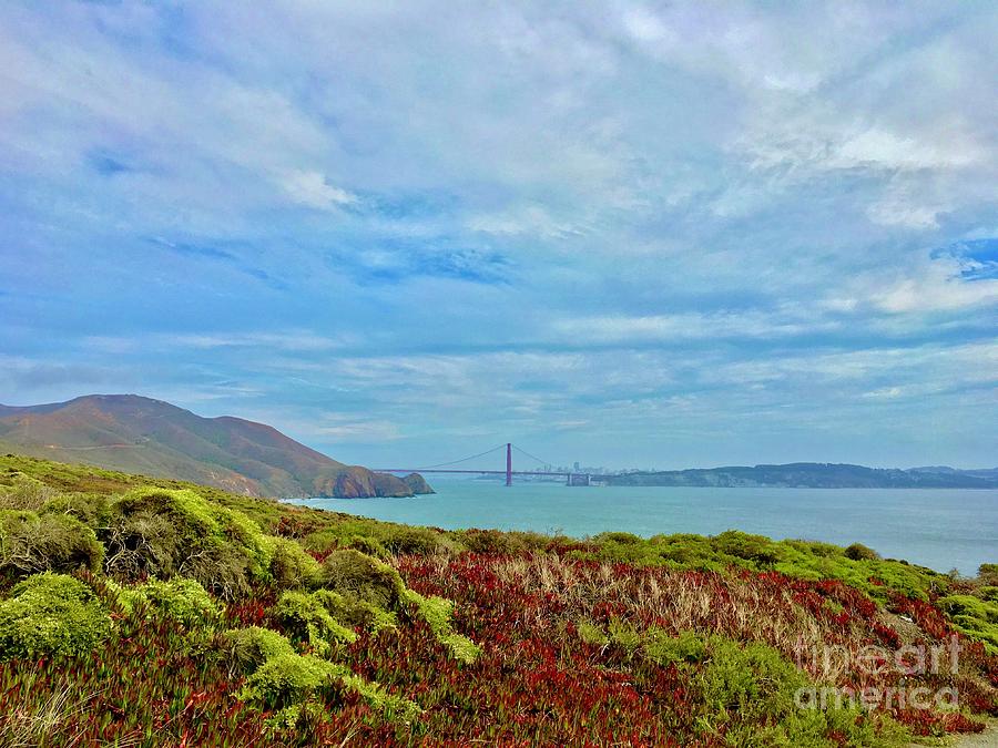 Golden Gate Photograph by Dennis Richardson